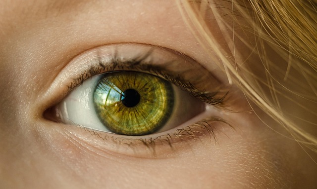 What Cover Letters and Blepharoplasty in Dallas Have in Common What Cover Letters and Blepharoplasty in Dallas Have in Common